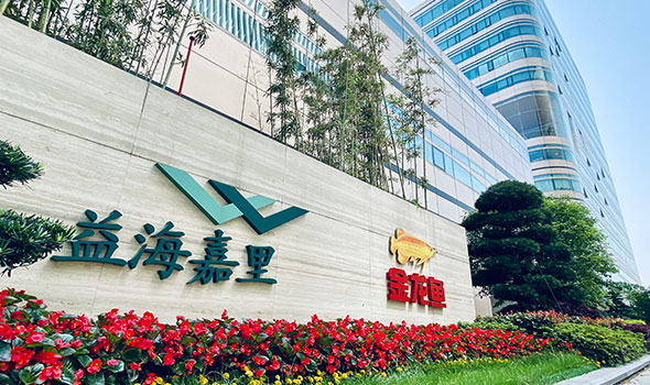 VipPay钱包介绍