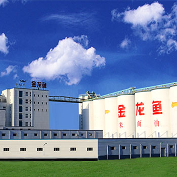 合规运营